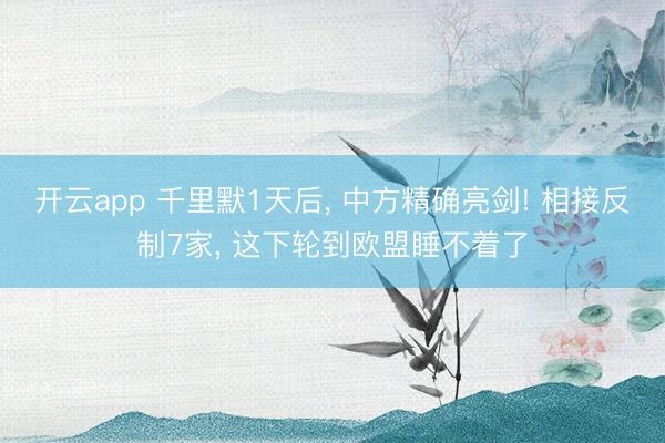 开云app 千里默1天后, 中方精确亮剑! 相接反制7家, 这下轮到欧盟睡不着了